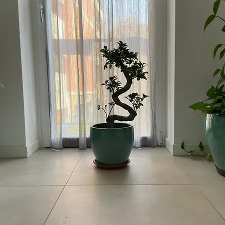 Green Stay Bergamo